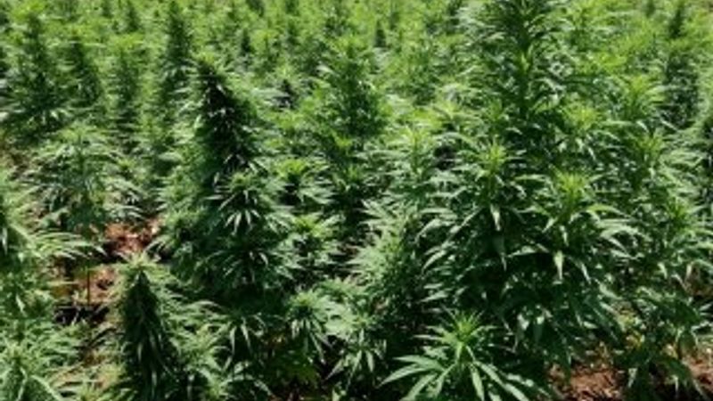 Diyarbakır'da uyuşturucu operasyonu: 10 gözaltı