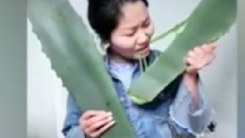 Çinli vlogger kendini canlı yayında zehirledi