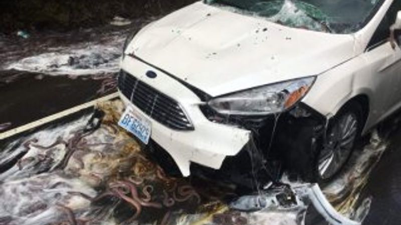 Yılan balığı yüklü kamyon otobanda devrildi