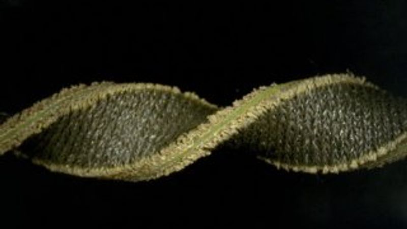 Bilim insanları giyilebilir sensör teknolojisi geliştirdi