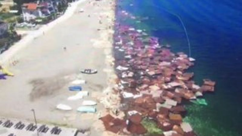 Denizdeki suntalar drone ile görüntülendi