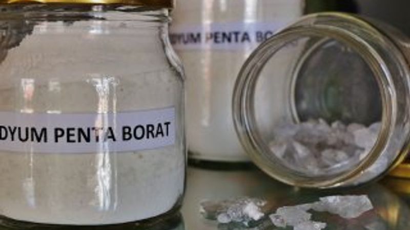 Bor radyasyona zırh oluyor