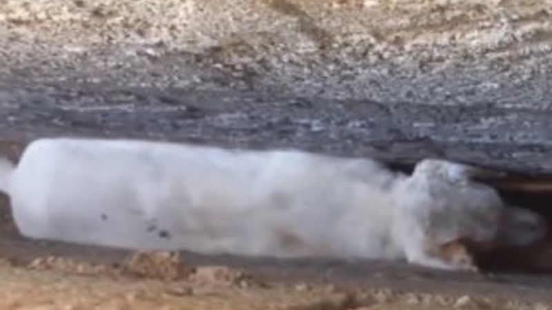 İki duvar arasına sıkışan köpeği kurtardı