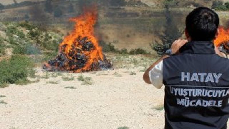 Hatay'da tonlarca uyuşturucu yakıldı