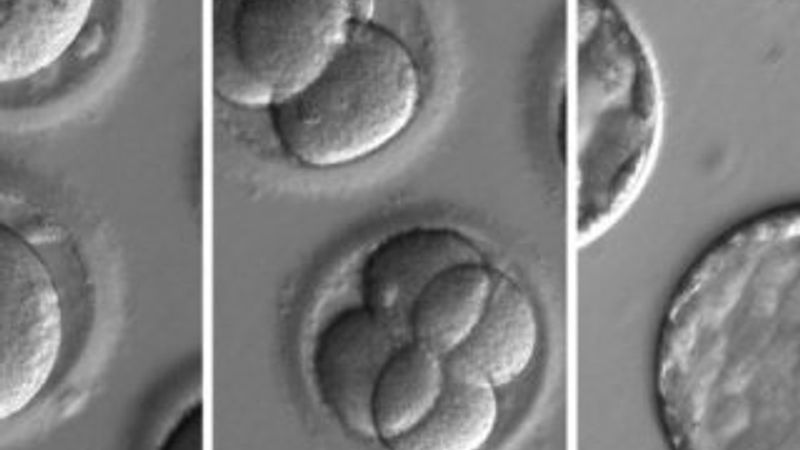 Hastalıklara genetik tedavi yolu açıldı