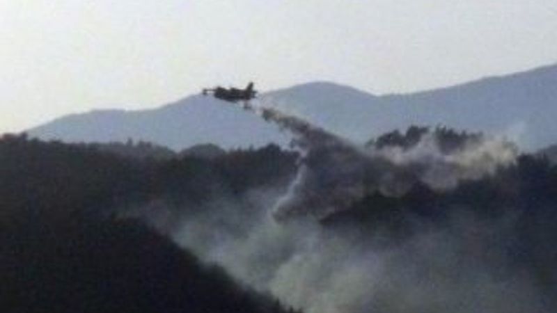 Hatay'daki yangında 5 hektarlık orman kül oldu