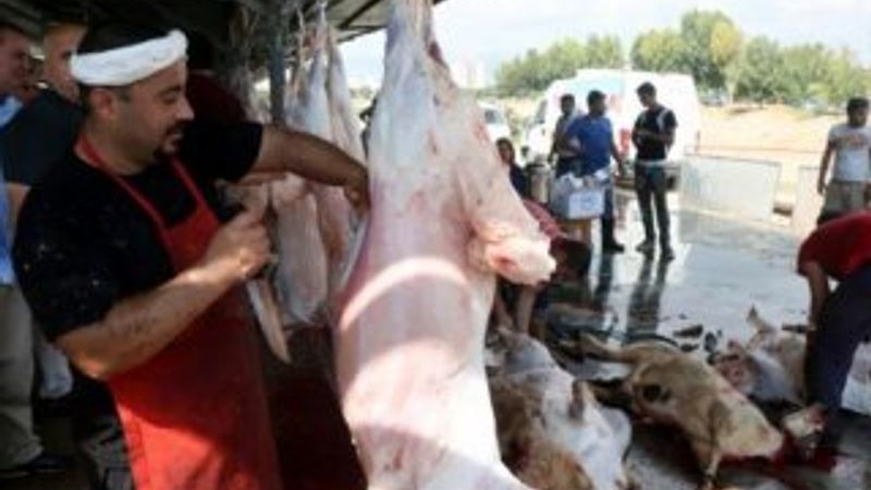 Kurban Bayramı öncesi acemi kasap uyarısı