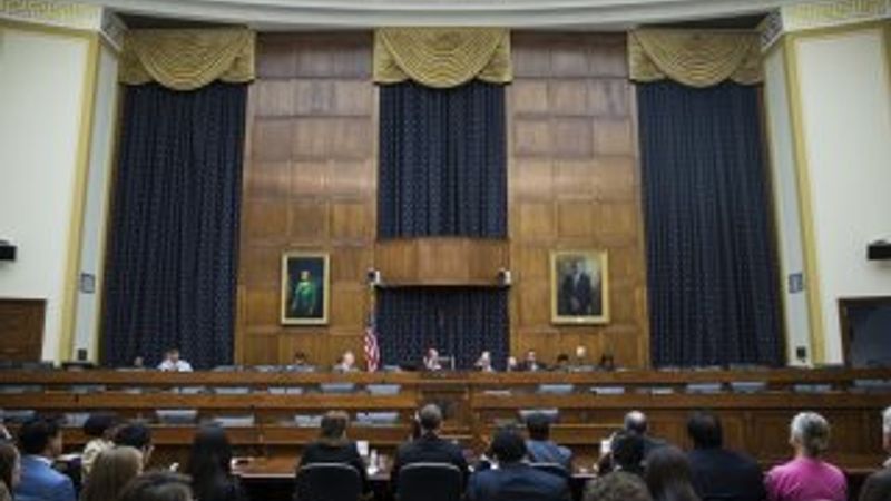 ABD Kongresinde Arakanlı Müslümanlara destek