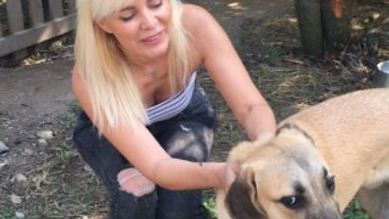 Kuyu köpek artık çok mutlu