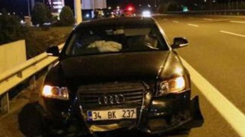 TEM'e çıkan koyunlar zincirleme kazaya neden oldu