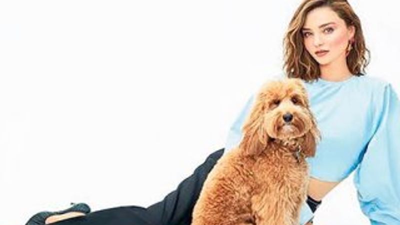 Miranda Kerr: Önceliklerim değişti