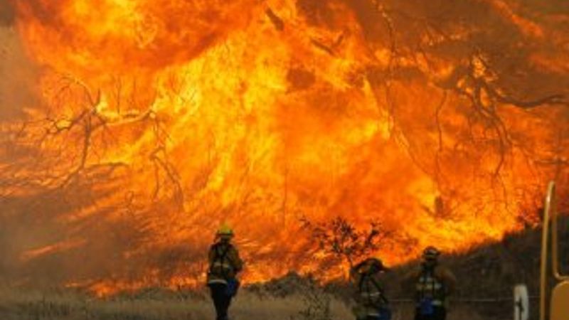 Kaliforniya'da orman yangınları