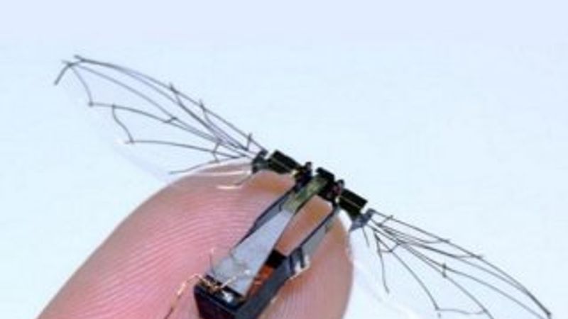 Uçabilen ve yüzebilen mini robot