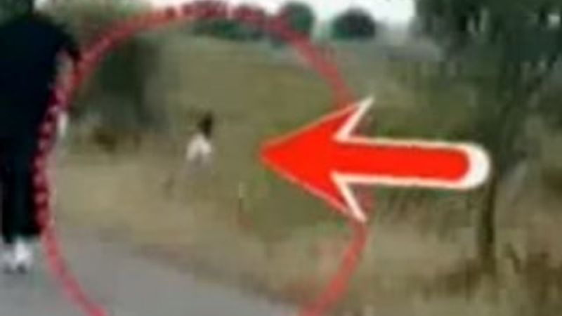 Hint Bakan tuvaletini yola yaptı