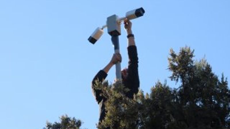 Leylekler Vadisi'ndeki yuvalar canlı yayında