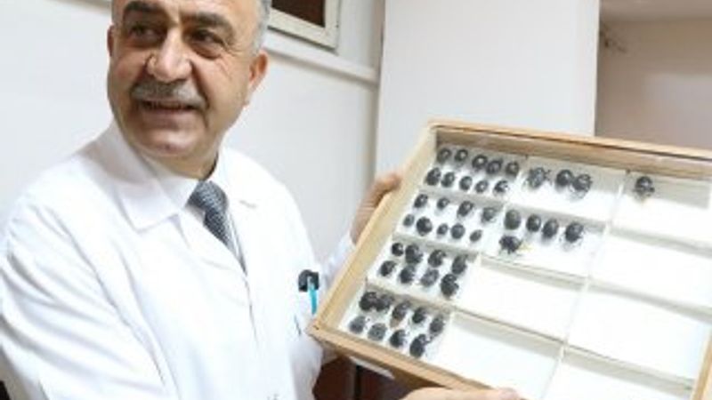 Keşfettiği böceğe babasının adını veren Türk profesör