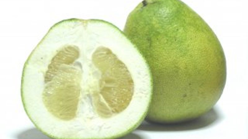 Pomelo nedir