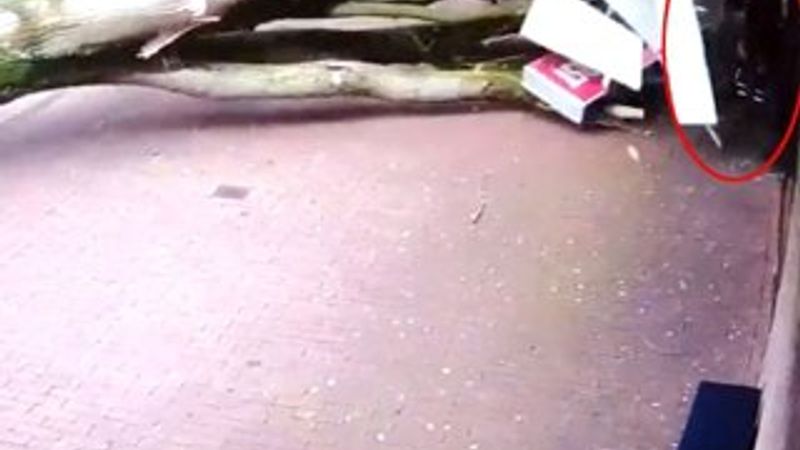 Anne ile bebeği son anda ölümden kurtuldu