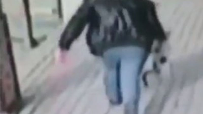 Hamile kediyi yere vurup tekmeledi