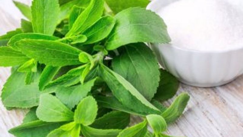 Stevia nedir