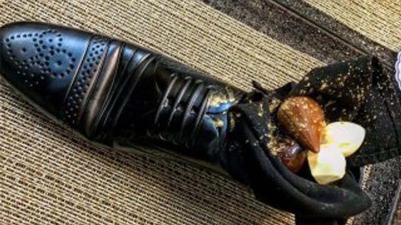 İsrail'in ayakkabılı tatlısı Abe'nin hoşuna gitmedi