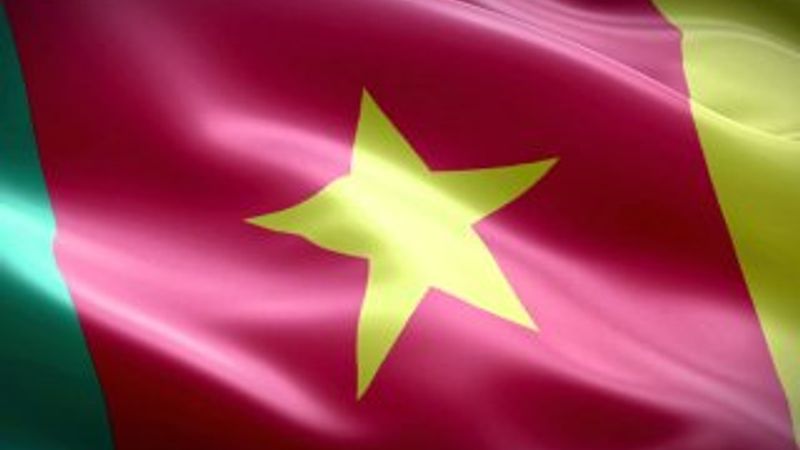 Kamerun'da 8 kabile şefi kaçırıldı