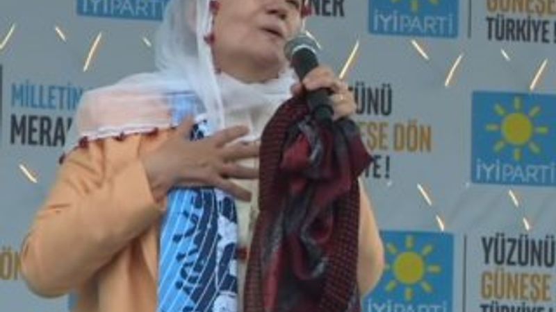 Meral Akşener'i istifaya sürükleyen kriz