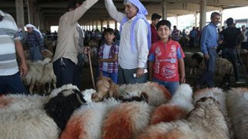 Kurbanlıklar pazara indi