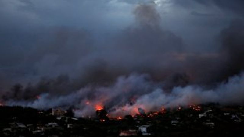 Ormana girenlerden yolunu kaybedip ölenler oldu