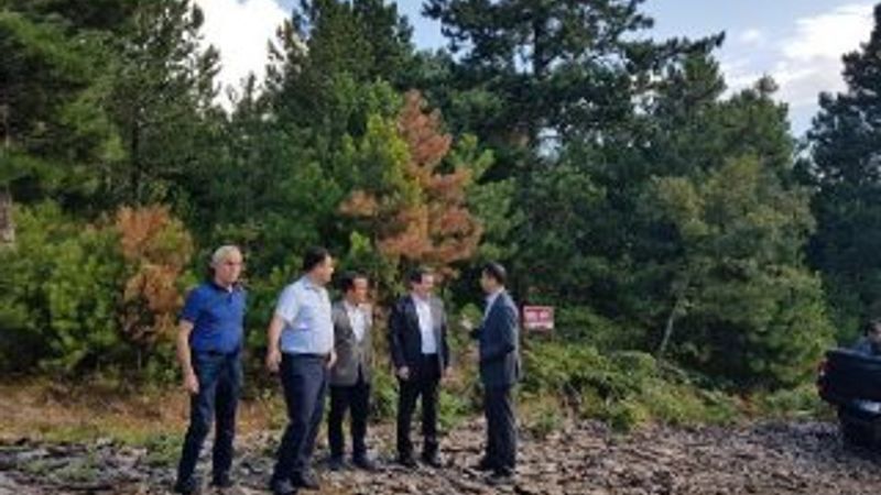 Çanakkale'den Edremit Körfezi'ne yeni ulaşım yolu