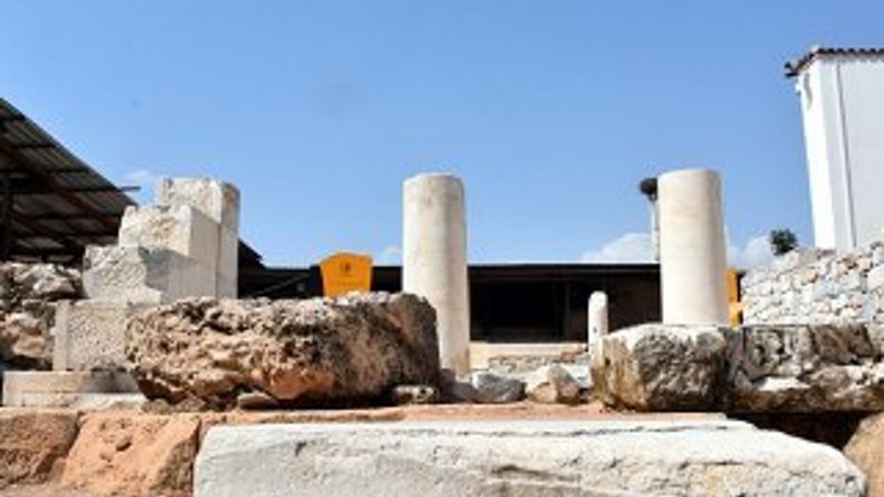 Uzunyuva dünyaya açıldı