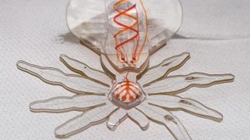 Yumuşak malzemeyle örümcek şeklinde robot yapıldı