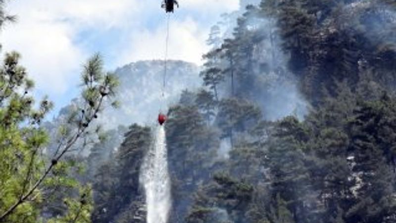 Muğla Köyceğiz'de orman yangını