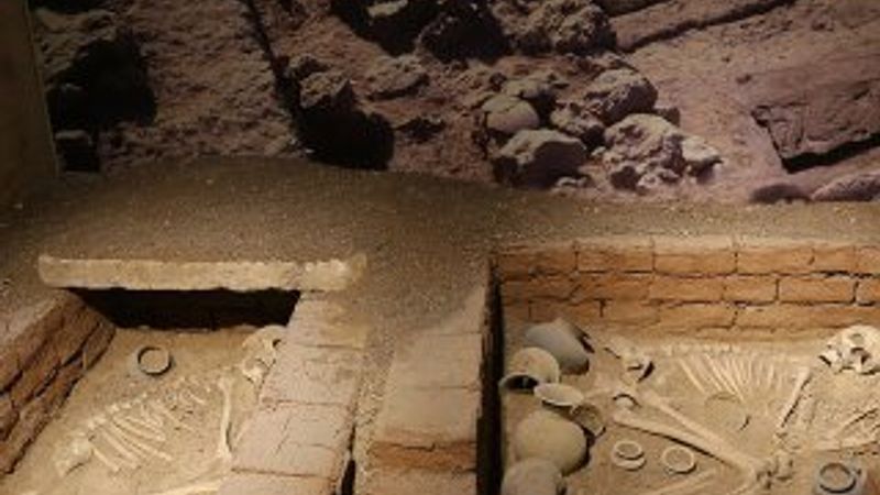 Dünyanın en eski aşıkları müzede sergilenecek