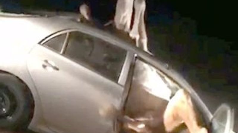 Hindistan'da deve araca sıkıştı