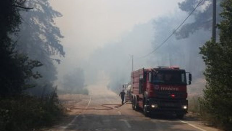 Bursa'da orman yangını