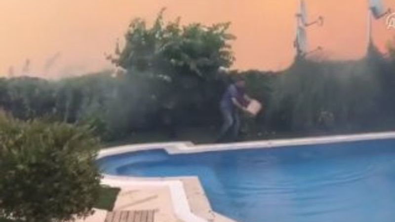 Mudanya'da orman yangını evlere yaklaştı