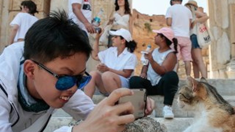 Antik kent sahipsiz kedilere yuva oldu