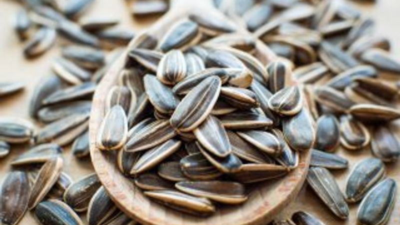 Ay çekirdeği Alzheimer’ı önlüyor