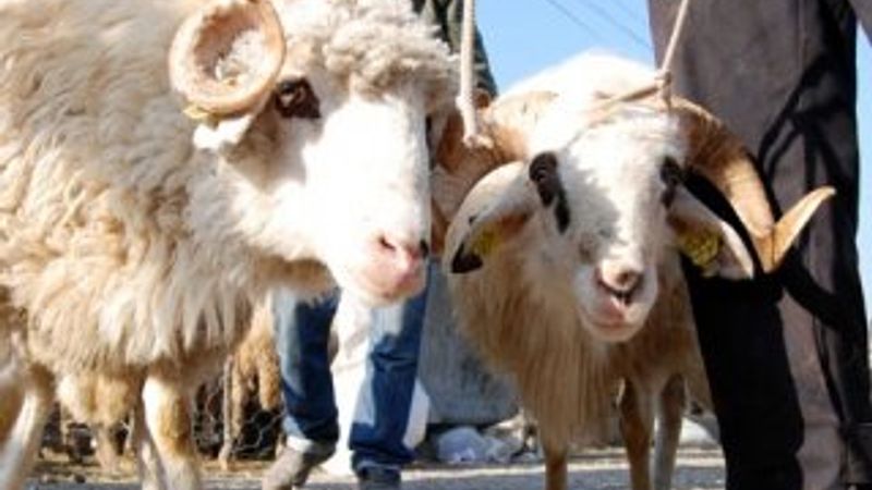 Sokakta kurban kesene para cezası