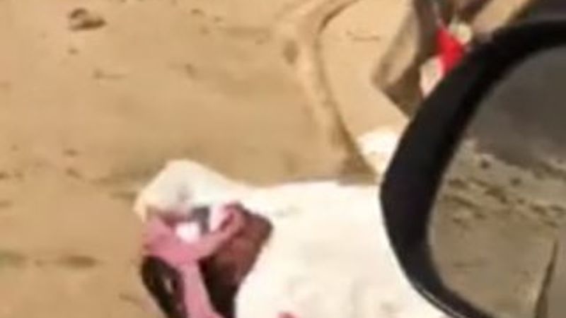 Üzerine binen ağır adamı taşıyamayan deve