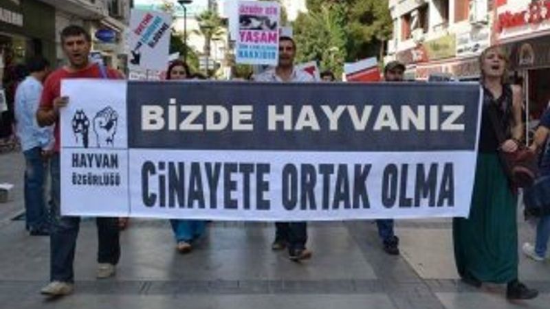 Kurban Bayramı cinayet değil yardımlaşmadır