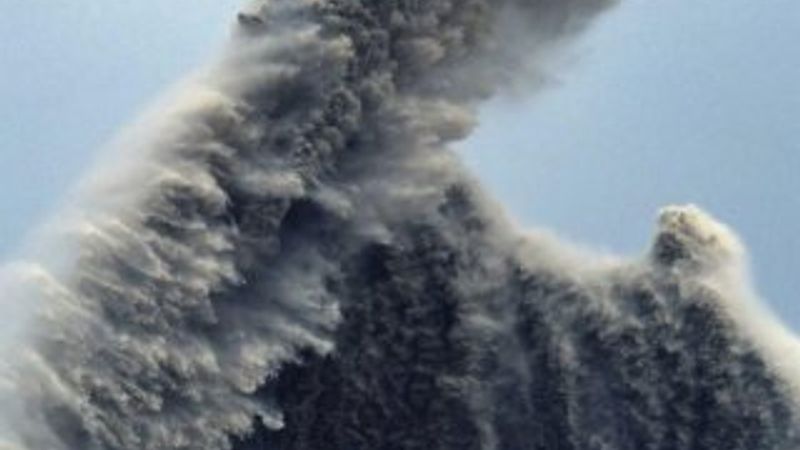 Japonya'da korkutan dalga