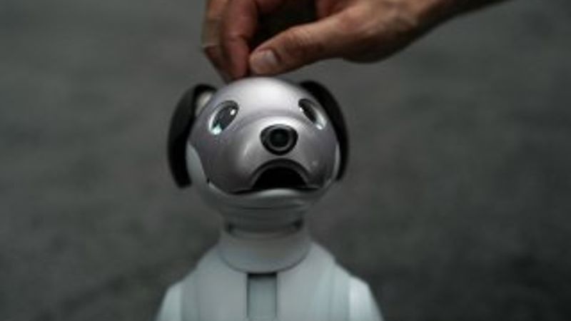 Yapay zekalı robot köpek: Aibo