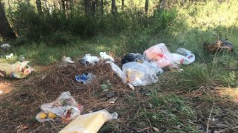 Piknikçiler Aydos Ormanı'nı çöplüğe çevirdi