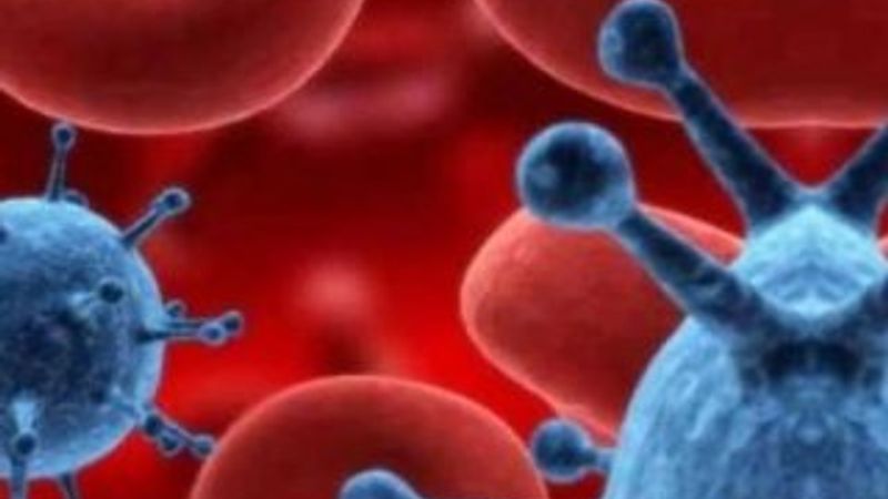 Şarbon hastalığı nedir