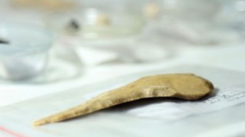 Direkli Mağarası'nda  taştan dilgi bulundu