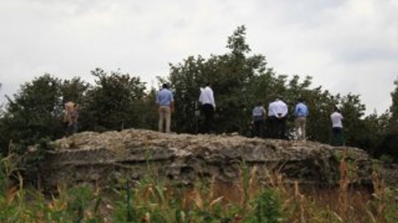 Fındık bahçesinden tarih çıktı