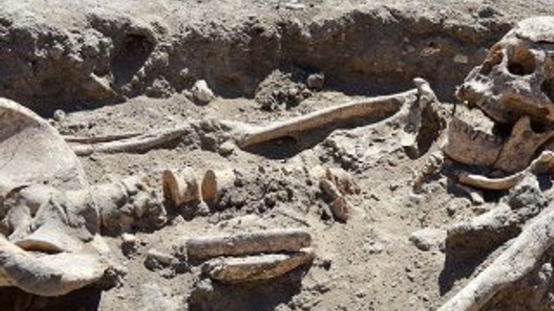 Troya Antik Kenti'nde yeni keşif