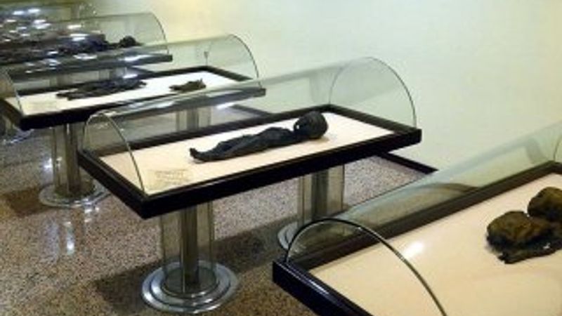 Amasya Müzesi'ndeki mumyalara ziyaretçi ilgisi